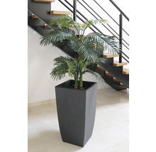 Konstgjord arekapalmi kruka framför en trappa