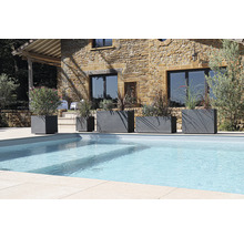 Rad med planter i olika storlekar bredvid en pool i en trädgård.