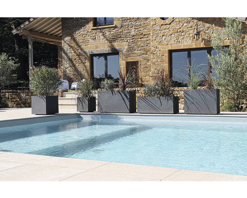 Rad med planter i olika storlekar bredvid en pool i en trädgård.