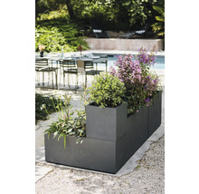 Planteringslåda med olika växter utomhus.