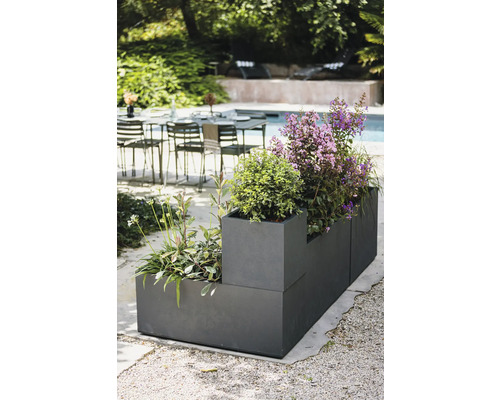 Planteringslåda med olika växter utomhus.