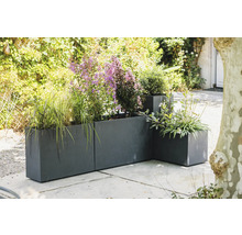 Planteringskärl i metall med olika växter utomhus