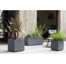Tre grå betongplanteringskärl på en terrass med olika växter