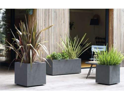 Tre grå betongplanteringskärl på en terrass med olika växter