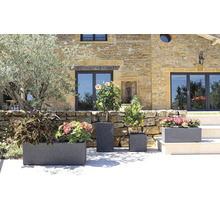 Diverse planteringskärl med växter framför en byggnad