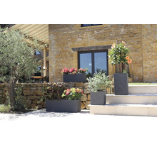 Dekorativa blomkrukor i stengods med blommande växter i en trädgård