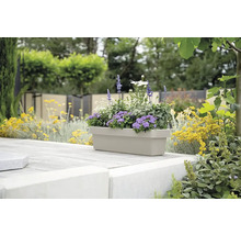 Rektangulär blomlåda med plantering i trädgården