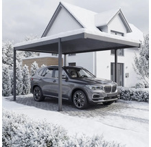 En bil står under en carport framför ett hus på vintern.