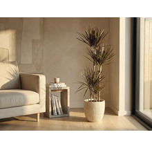 Vardagsrum med dracena i räfflad ytterkruka bredvid fåtölj och sidobord