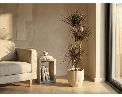 Vardagsrum med dracena i räfflad ytterkruka bredvid fåtölj och sidobord