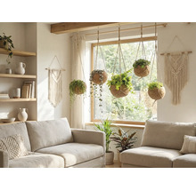 Vardagsrum med soffor och hängande växter i kokosnötsskal.