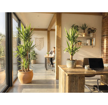 Kontorsutrymme med krukväxter, träbjälkar och skrivbord.