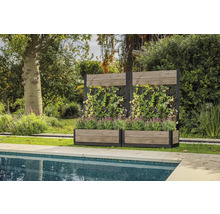 Trädgårdsscen med två planteringslådor och spaljéer bredvid en pool