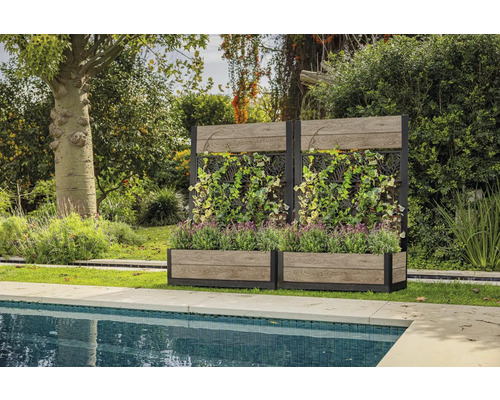 Trädgårdsscen med två planteringslådor och spaljéer bredvid en pool