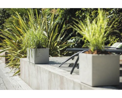 Scen med fyrkantiga blomlådor och växter i trädgården