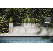 Betongplanteringskärl med plantering bredvid pool och solstol