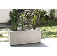 Rektangulär planteringslåda med olika växter utomhus.