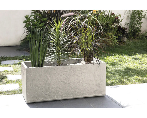 Rektangulär planteringslåda med olika växter utomhus.