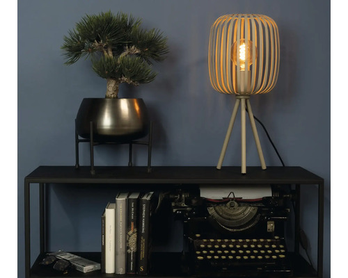 Dekorativ scen med bordslampa, konstgjord växt, bokhög och skrivmaskin på en svart hylla
