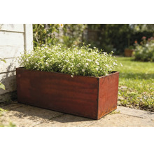 Rektangulär metallplanteringslåda med vitblommande växter i trädgården.