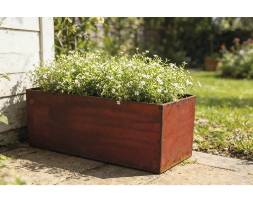 Rektangulär metallplanteringslåda med vitblommande växter i trädgården.