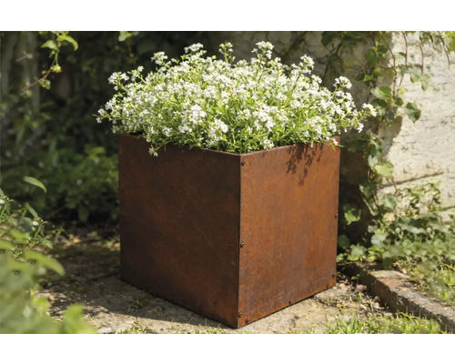 Blomlåda i stål med vita blommor