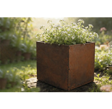 Fyrkantig metallblomlåda med blommor