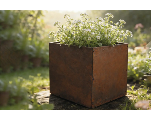 Fyrkantig metallblomlåda med blommor