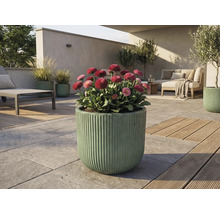 Uteplats med blommande tusenskönor i räfflad planteringskruka