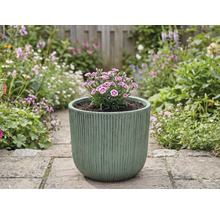 Blomkruka med nejlikor på en trädgårdsgång