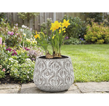 Narcisser i en planteringskruka med reliefmönster i trädgården