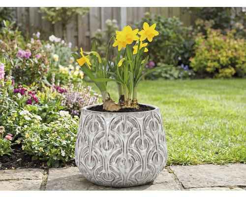 Narcisser i en planteringskruka med reliefmönster i trädgården
