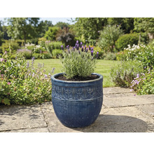 Lavendel i en dekorativ blomkruka i trädgården