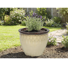 Keramisk blomkruka med lavendel i trädgården