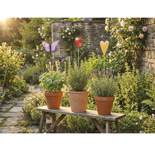 Tre örtkrukor med växtetiketter i form av en fjäril, tulpan och hjärta på en träbänk i trädgården.