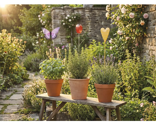 Tre örtkrukor med växtetiketter i form av en fjäril, tulpan och hjärta på en träbänk i trädgården.