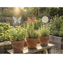 Tre terrakottakrukor med örter och dekorativa trädgårdsdekorationer på en träbänk i trädgården.