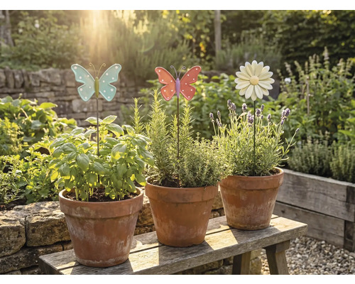 Tre terrakottakrukor med örter och dekorativa trädgårdsdekorationer på en träbänk i trädgården.