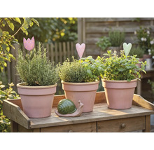 Tre kryddkrukor med örter och dekorationer på ett träbord