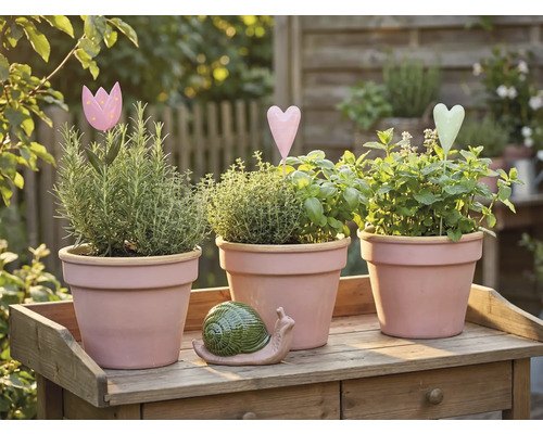 Tre kryddkrukor med örter och dekorationer på ett träbord