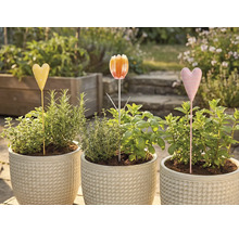 Tre blomkrukor med örter och rabattpinnar i trädgården