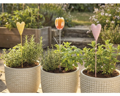 Tre blomkrukor med örter och rabattpinnar i trädgården