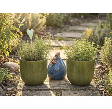 Trädgårdsstilleben med planterade krukor, hjärtpinnar och dekorativ höna på en stengång