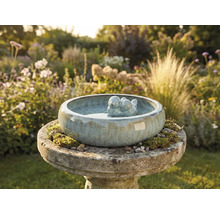 Fågelbad i keramik med fågelpar i trädgården