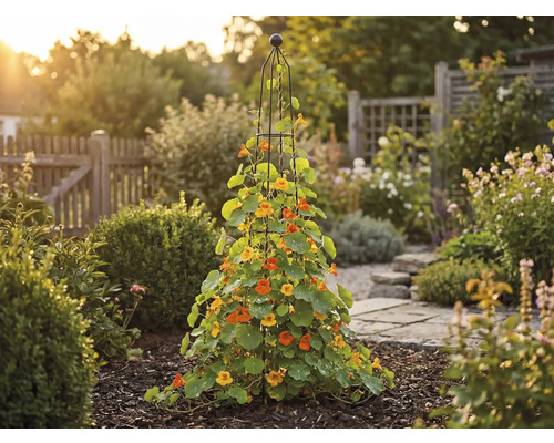 Trädgårdsvy med klätterväxter på ett stöd