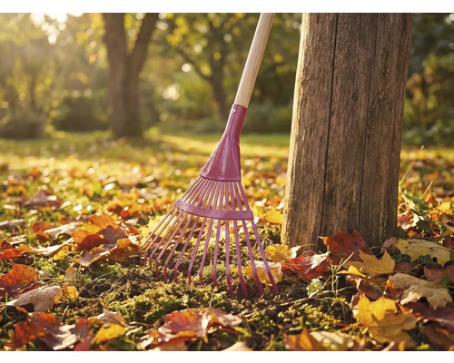 Trädgårdsräfsa i metall med träskaft bredvid trädstam i trädgården