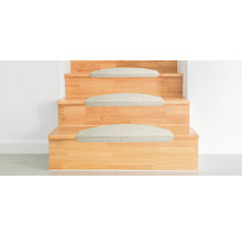 Trätrappa med trappmattor