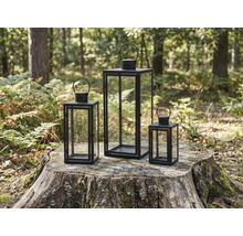 Tre vindljus i metall och glas på en trädstubbe i en trädbevuxen skog