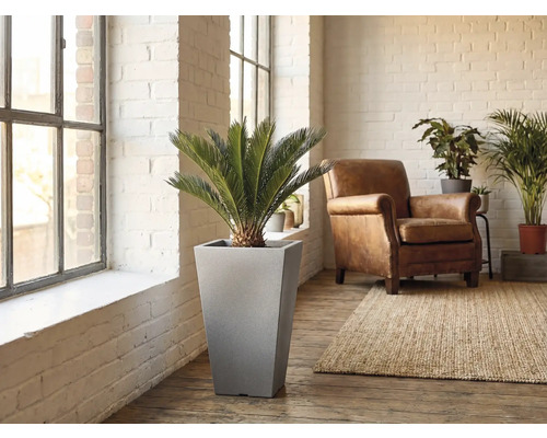 Scen av ett vardagsrum med en cylindrisk blomkruka inklusive växt, fåtölj och matta.