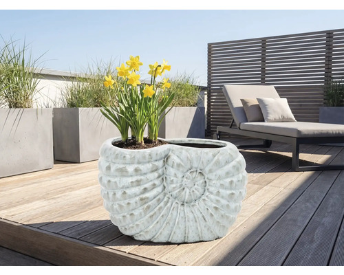 Planteringskärl i snigelform med påskliljor på en terrass